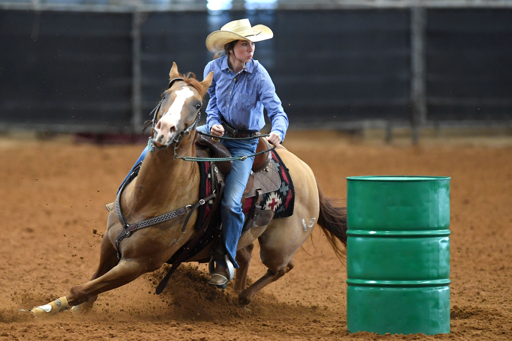 Texas State 4-H Horse Show